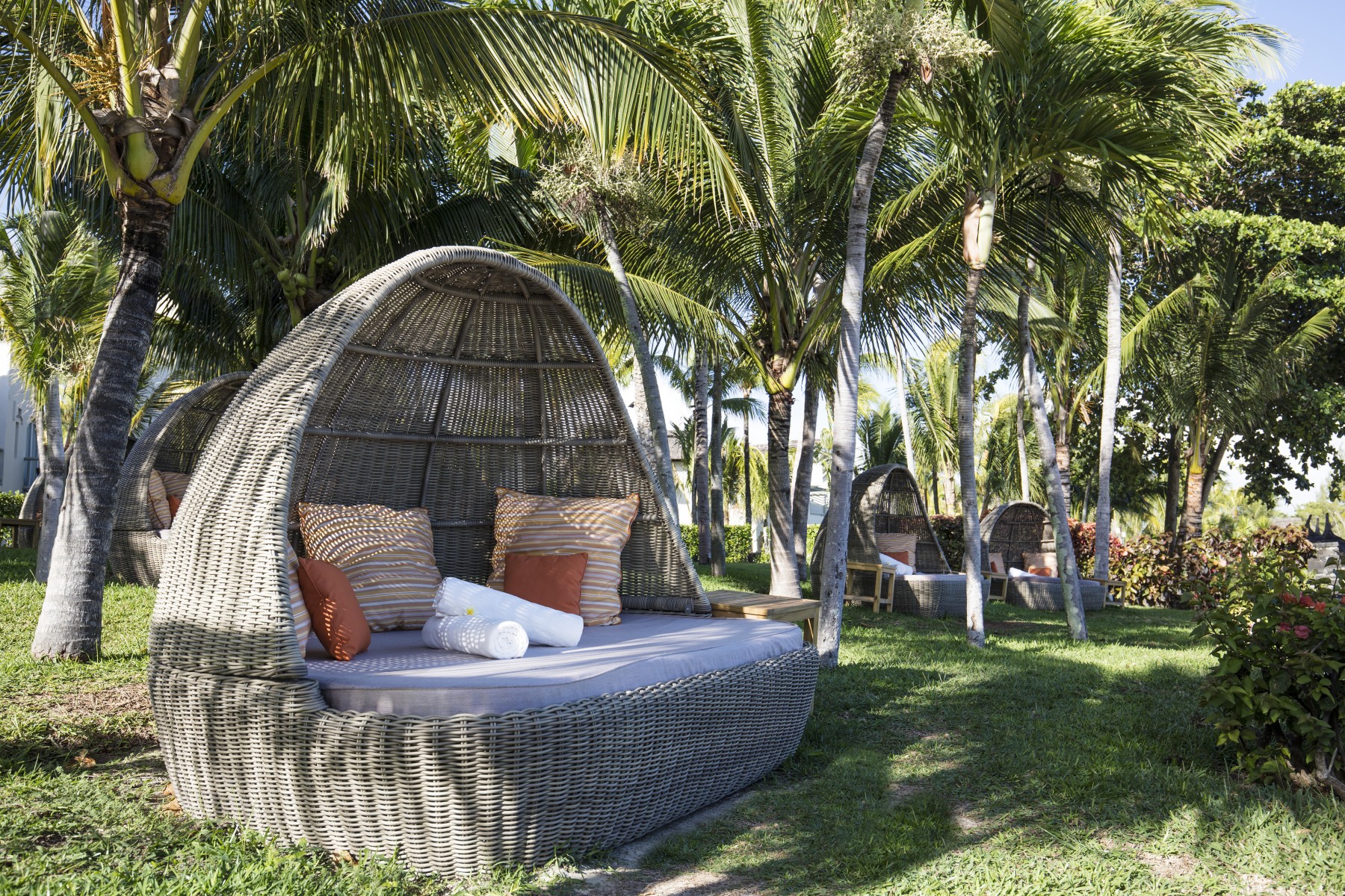 Ambre Mauritius